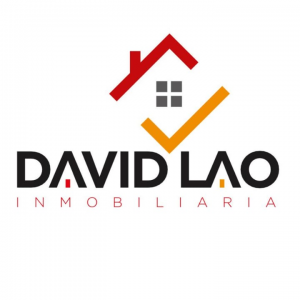 Logo David Lao Inmobiliaria